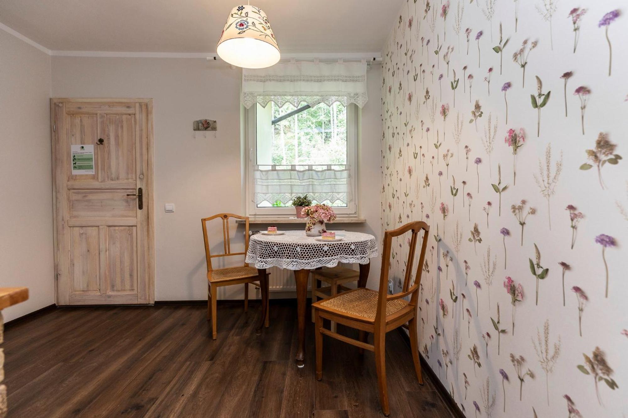 Apartamenty Zielona Owieczka ニエジツァ・ザメク 部屋 写真