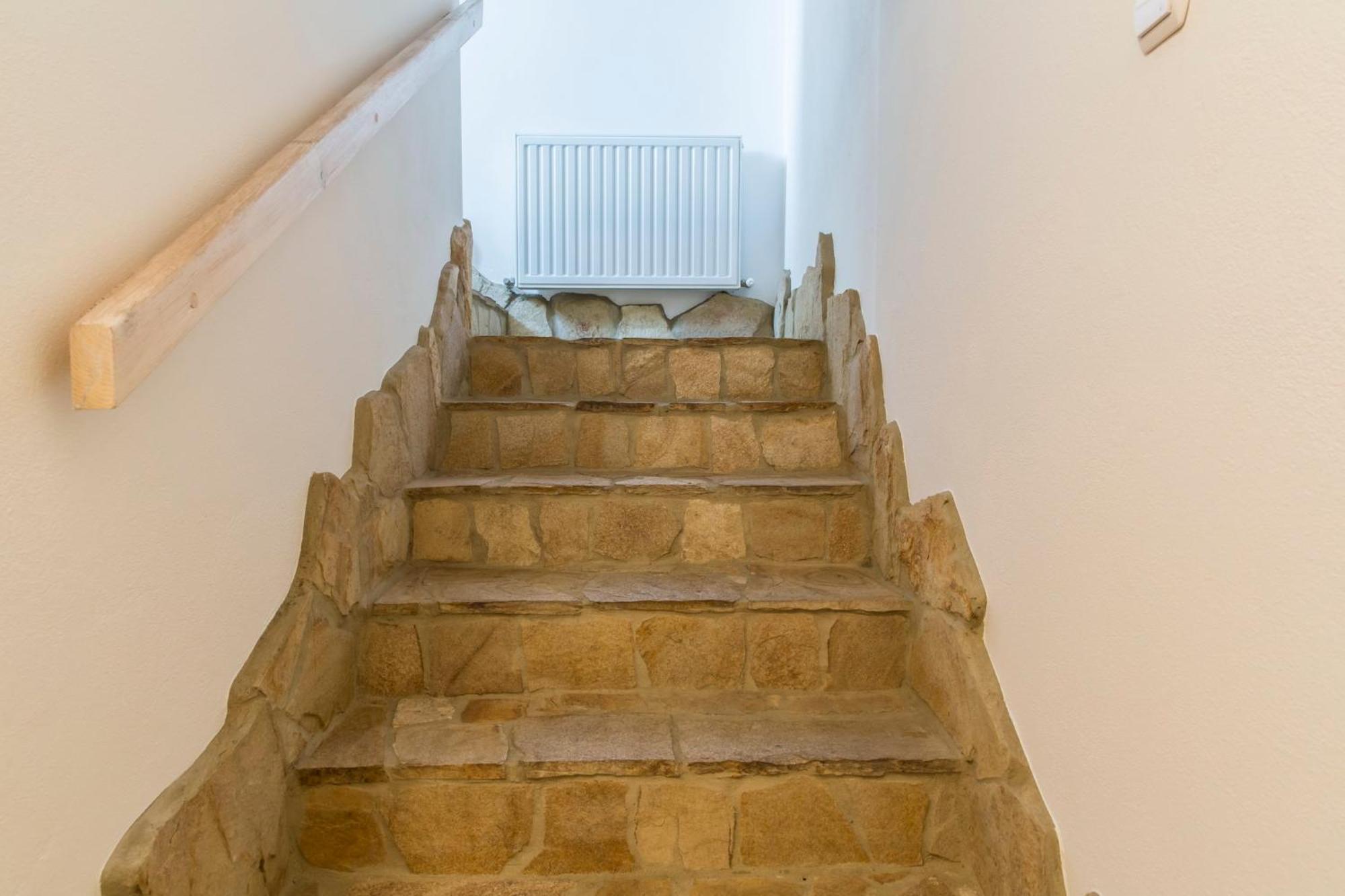 Apartamenty Zielona Owieczka ニエジツァ・ザメク 部屋 写真