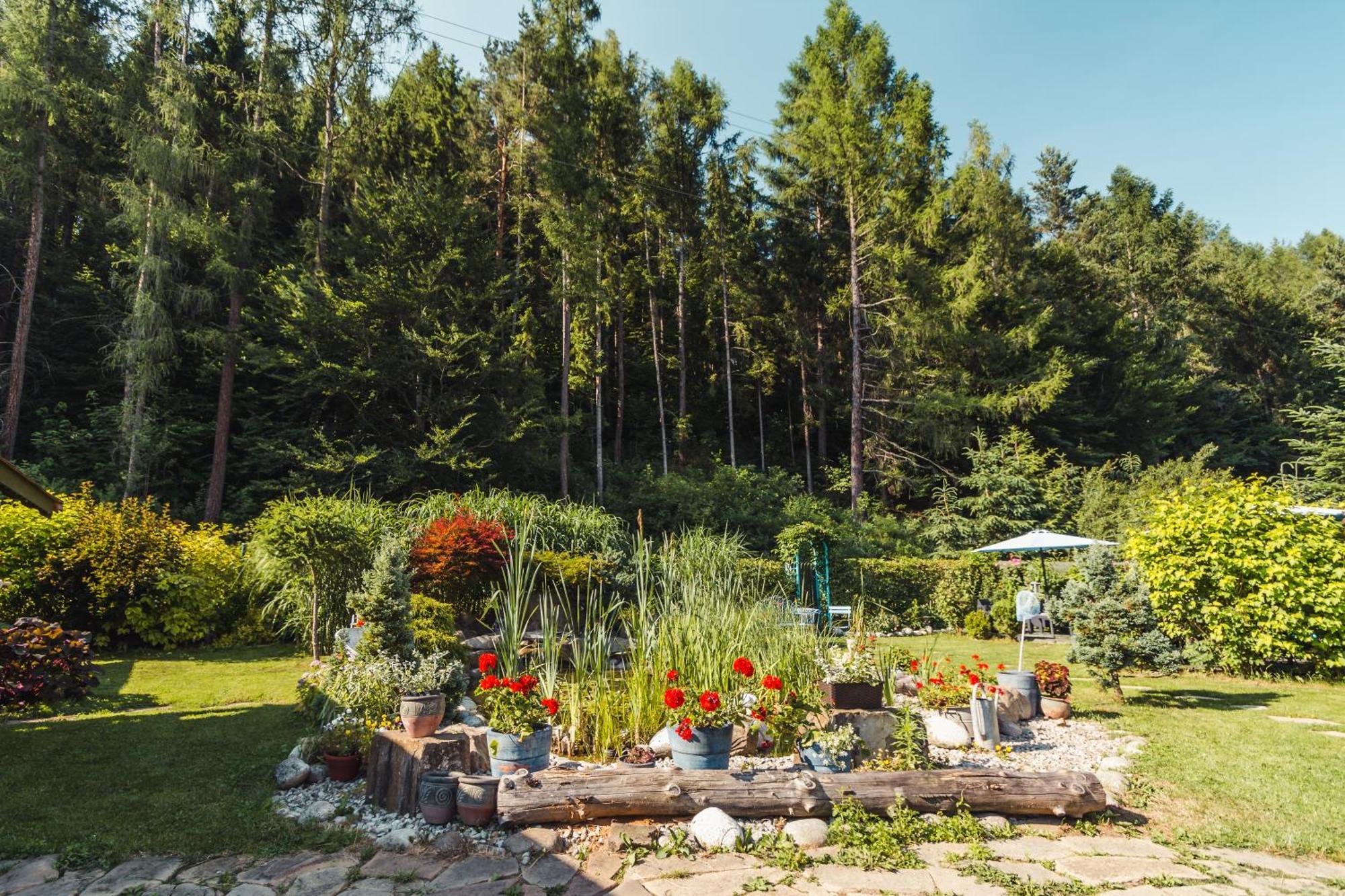 Apartamenty Zielona Owieczka ニエジツァ・ザメク エクステリア 写真